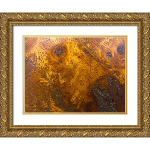 Wood Texture II Gold Ornate Wood Framed Art Print with Double Matting by Grayscale