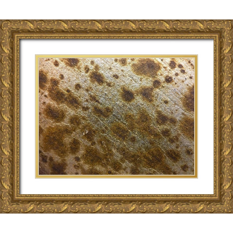 Silver Texture I Gold Ornate Wood Framed Art Print with Double Matting by Grayscale