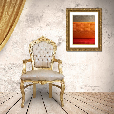 Fabric III Gold Ornate Wood Framed Art Print with Double Matting by Grayscale