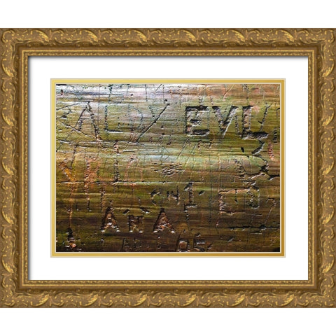 Wood Texture VII Gold Ornate Wood Framed Art Print with Double Matting by Grayscale