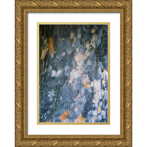 Bark Scales IV Gold Ornate Wood Framed Art Print with Double Matting by Grayscale