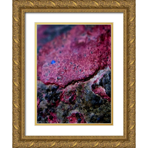 Red Aggregate I Gold Ornate Wood Framed Art Print with Double Matting by Grayscale