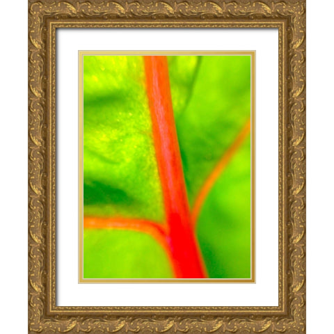 Red Branch I Gold Ornate Wood Framed Art Print with Double Matting by Grayscale
