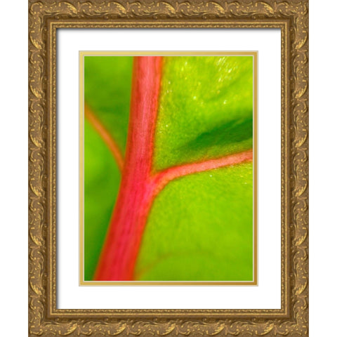 Red Branch II Gold Ornate Wood Framed Art Print with Double Matting by Grayscale