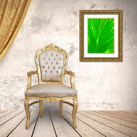 Green Leaf III Gold Ornate Wood Framed Art Print with Double Matting by Grayscale