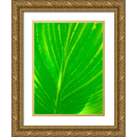 Green Leaf III Gold Ornate Wood Framed Art Print with Double Matting by Grayscale