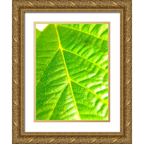 Green Leaf V Gold Ornate Wood Framed Art Print with Double Matting by Grayscale