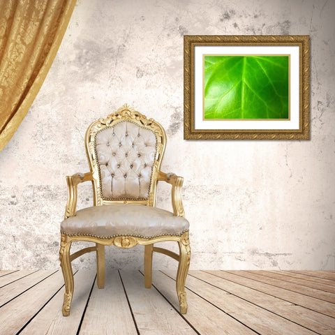 Green Leaf VI Gold Ornate Wood Framed Art Print with Double Matting by Grayscale