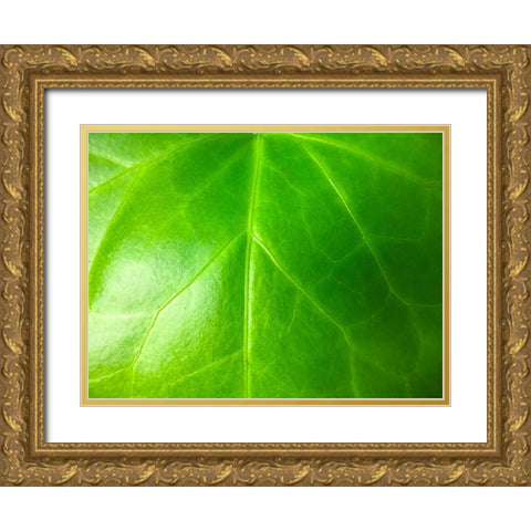 Green Leaf VI Gold Ornate Wood Framed Art Print with Double Matting by Grayscale