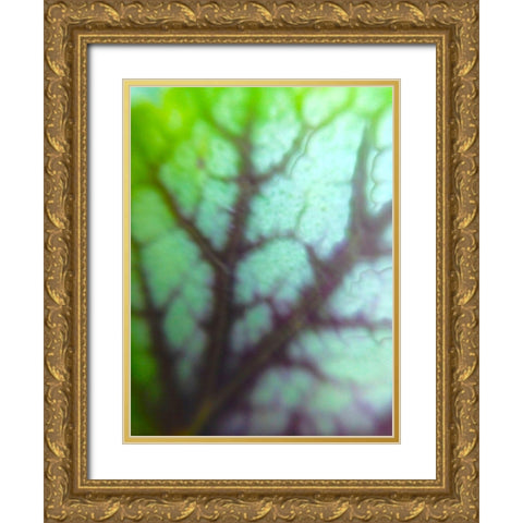 Green Leaf VIII Gold Ornate Wood Framed Art Print with Double Matting by Grayscale