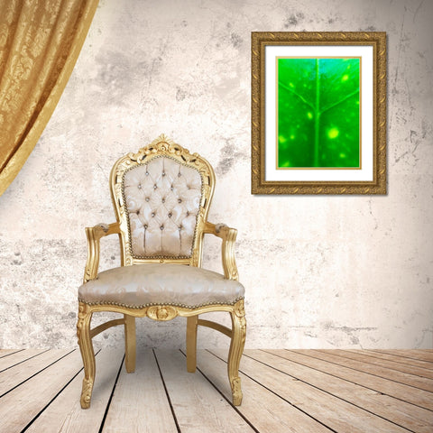Green Leaf IX Gold Ornate Wood Framed Art Print with Double Matting by Grayscale