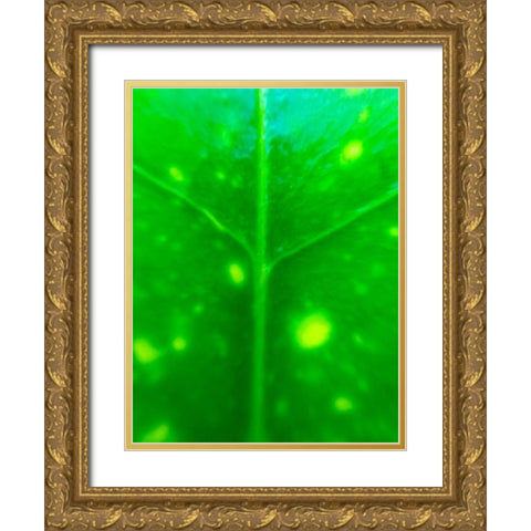 Green Leaf IX Gold Ornate Wood Framed Art Print with Double Matting by Grayscale
