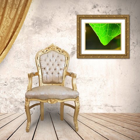 Green Leaf X Gold Ornate Wood Framed Art Print with Double Matting by Grayscale