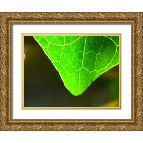 Green Leaf X Gold Ornate Wood Framed Art Print with Double Matting by Grayscale
