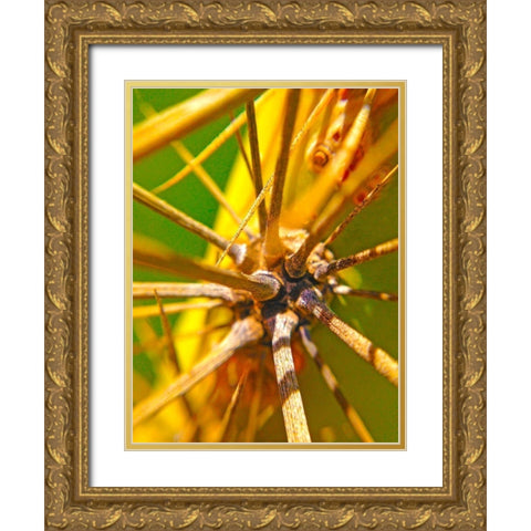 Cactus Spikes I Gold Ornate Wood Framed Art Print with Double Matting by Grayscale