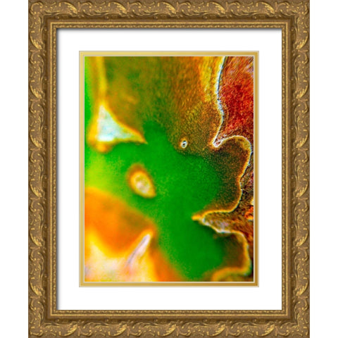 Cactus Edges I Gold Ornate Wood Framed Art Print with Double Matting by Grayscale
