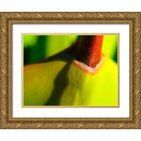 Cactus Spikes IV Gold Ornate Wood Framed Art Print with Double Matting by Grayscale