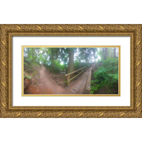 Forest Bridge I Gold Ornate Wood Framed Art Print with Double Matting by Grayscale