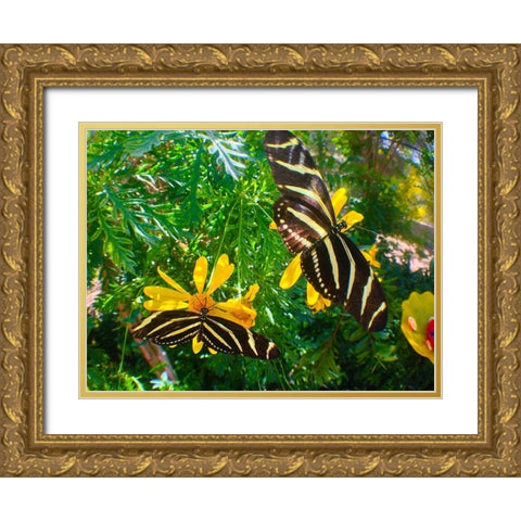 Butterflies I Gold Ornate Wood Framed Art Print with Double Matting by Grayscale