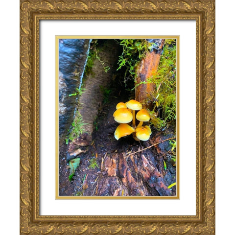 Tiny Mushroom Cluster I Gold Ornate Wood Framed Art Print with Double Matting by Grayscale