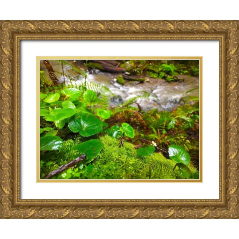 Smallest Redwood Gold Ornate Wood Framed Art Print with Double Matting by Grayscale