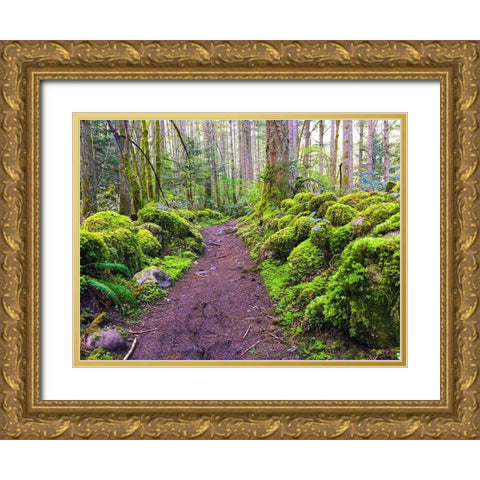 Forest Trail I Gold Ornate Wood Framed Art Print with Double Matting by Grayscale