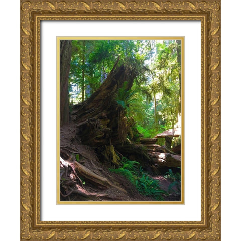 Forest Trail III Gold Ornate Wood Framed Art Print with Double Matting by Grayscale