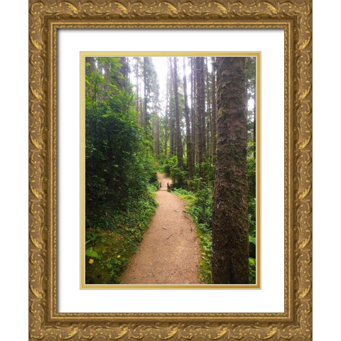 Forest Bridge II Gold Ornate Wood Framed Art Print with Double Matting by Grayscale
