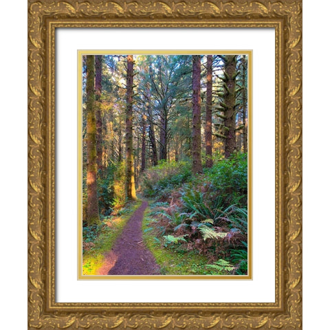 Forest Trail V Gold Ornate Wood Framed Art Print with Double Matting by Grayscale