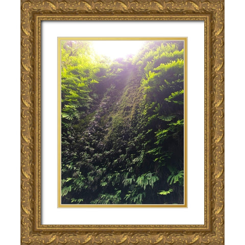 Fern Valley II Gold Ornate Wood Framed Art Print with Double Matting by Grayscale