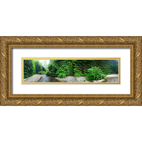 Fern Valley III Gold Ornate Wood Framed Art Print with Double Matting by Grayscale