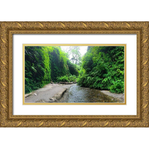 Fern Valley IV Gold Ornate Wood Framed Art Print with Double Matting by Grayscale