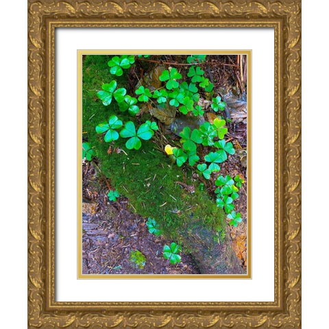 Ground Cover III Gold Ornate Wood Framed Art Print with Double Matting by Grayscale