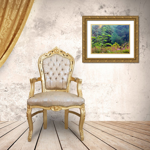 Smallest Redwood II Gold Ornate Wood Framed Art Print with Double Matting by Grayscale
