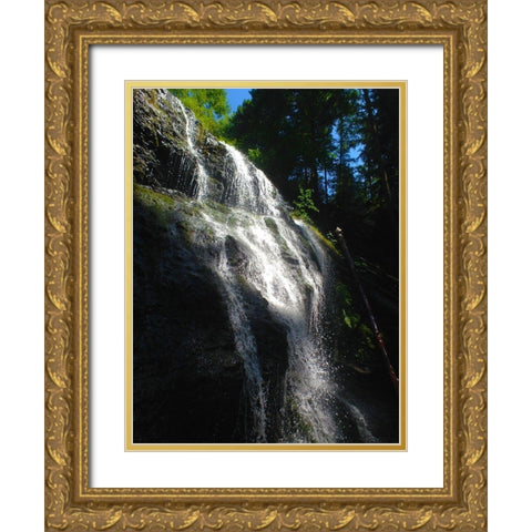 Waterfall Light I Gold Ornate Wood Framed Art Print with Double Matting by Grayscale