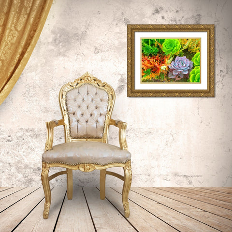 Succulent Garden I Gold Ornate Wood Framed Art Print with Double Matting by Grayscale
