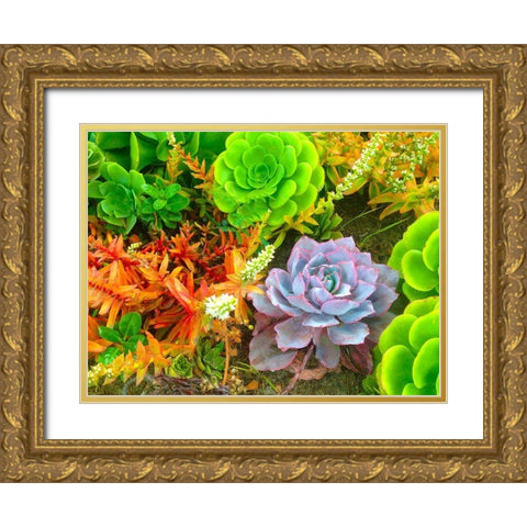 Succulent Garden I Gold Ornate Wood Framed Art Print with Double Matting by Grayscale