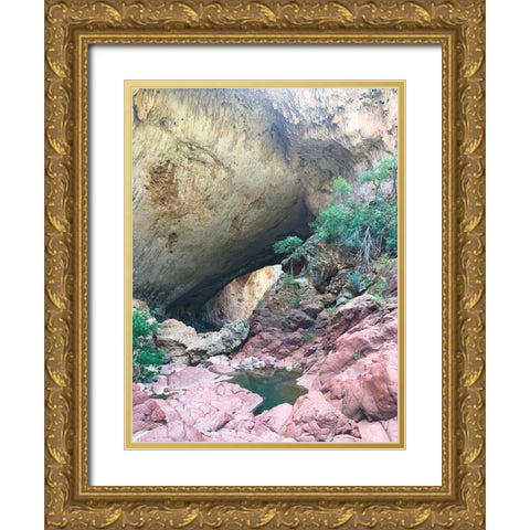Natural Bridge V Gold Ornate Wood Framed Art Print with Double Matting by Grayscale