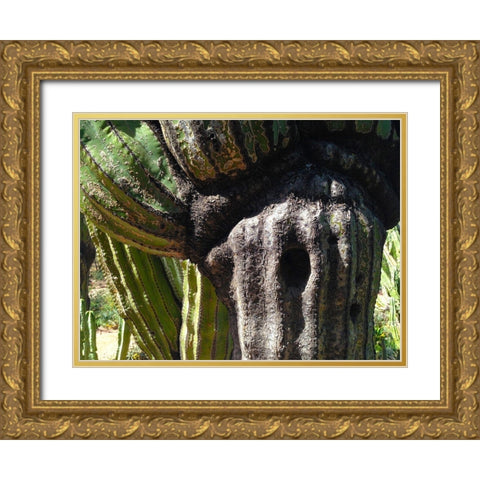 Cactus Hole I Gold Ornate Wood Framed Art Print with Double Matting by Grayscale