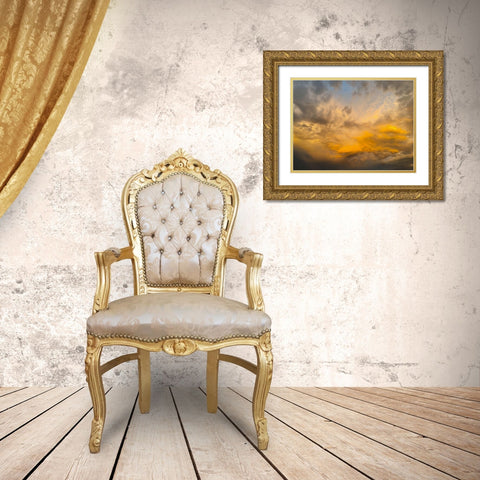 Arizona Sunset II Gold Ornate Wood Framed Art Print with Double Matting by Grayscale