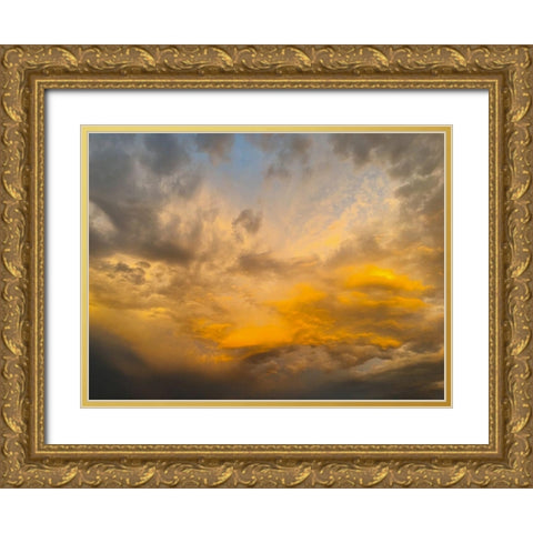Arizona Sunset II Gold Ornate Wood Framed Art Print with Double Matting by Grayscale