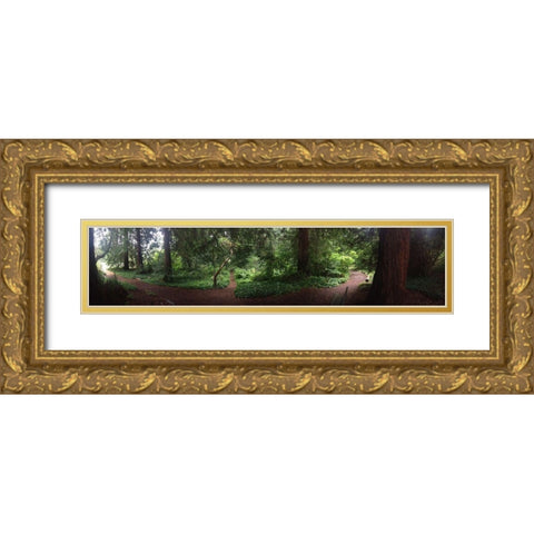Botanical Garden I Gold Ornate Wood Framed Art Print with Double Matting by Grayscale