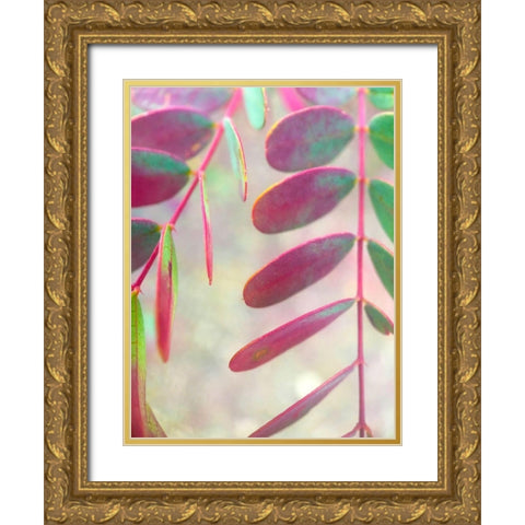 Round Leaves I Gold Ornate Wood Framed Art Print with Double Matting by Grayscale