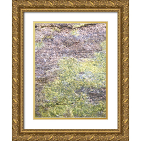 Rock Face I Gold Ornate Wood Framed Art Print with Double Matting by Grayscale