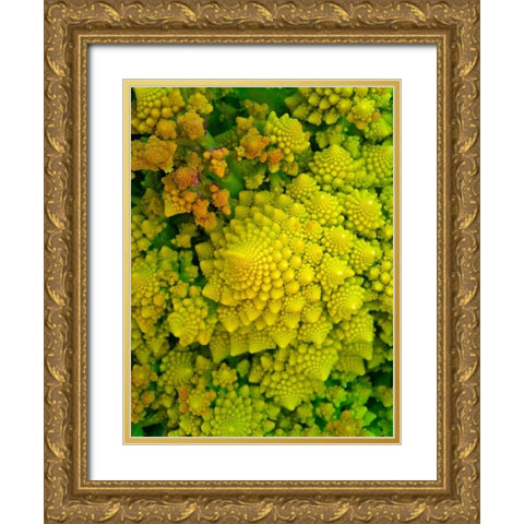 Natural Fractals I Gold Ornate Wood Framed Art Print with Double Matting by Grayscale