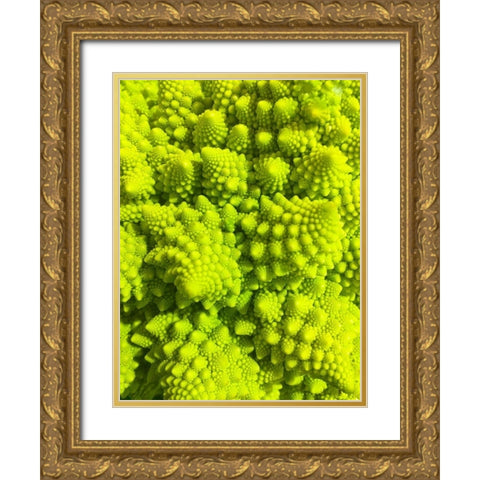 Natural Fractals III Gold Ornate Wood Framed Art Print with Double Matting by Grayscale
