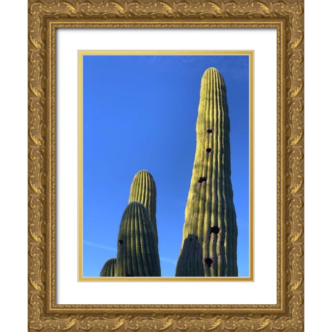 Desert Canopy II Gold Ornate Wood Framed Art Print with Double Matting by Grayscale