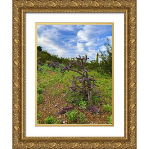 Desert Color I Gold Ornate Wood Framed Art Print with Double Matting by Grayscale