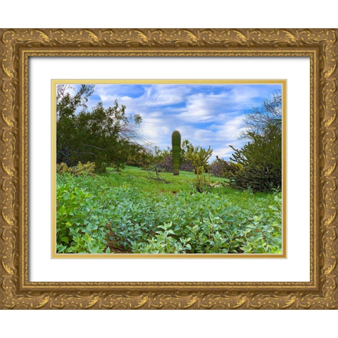 Desert Color II Gold Ornate Wood Framed Art Print with Double Matting by Grayscale