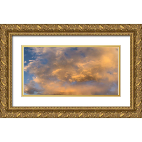 Cloudy Sky II Gold Ornate Wood Framed Art Print with Double Matting by Grayscale